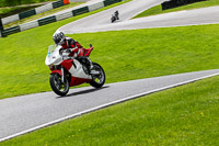 cadwell-no-limits-trackday;cadwell-park;cadwell-park-photographs;cadwell-trackday-photographs;enduro-digital-images;event-digital-images;eventdigitalimages;no-limits-trackdays;peter-wileman-photography;racing-digital-images;trackday-digital-images;trackday-photos