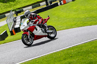 cadwell-no-limits-trackday;cadwell-park;cadwell-park-photographs;cadwell-trackday-photographs;enduro-digital-images;event-digital-images;eventdigitalimages;no-limits-trackdays;peter-wileman-photography;racing-digital-images;trackday-digital-images;trackday-photos