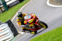 cadwell-no-limits-trackday;cadwell-park;cadwell-park-photographs;cadwell-trackday-photographs;enduro-digital-images;event-digital-images;eventdigitalimages;no-limits-trackdays;peter-wileman-photography;racing-digital-images;trackday-digital-images;trackday-photos