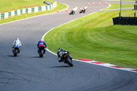 cadwell-no-limits-trackday;cadwell-park;cadwell-park-photographs;cadwell-trackday-photographs;enduro-digital-images;event-digital-images;eventdigitalimages;no-limits-trackdays;peter-wileman-photography;racing-digital-images;trackday-digital-images;trackday-photos