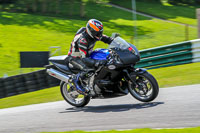 cadwell-no-limits-trackday;cadwell-park;cadwell-park-photographs;cadwell-trackday-photographs;enduro-digital-images;event-digital-images;eventdigitalimages;no-limits-trackdays;peter-wileman-photography;racing-digital-images;trackday-digital-images;trackday-photos
