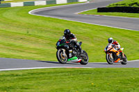 cadwell-no-limits-trackday;cadwell-park;cadwell-park-photographs;cadwell-trackday-photographs;enduro-digital-images;event-digital-images;eventdigitalimages;no-limits-trackdays;peter-wileman-photography;racing-digital-images;trackday-digital-images;trackday-photos