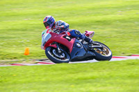 Advanced Group Red Bikes