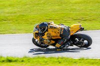 Advanced Group Yellow Bikes