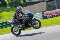 Lower Group Black Bikes