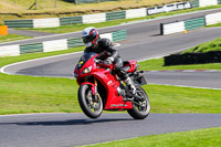 Lower Group Red Bikes