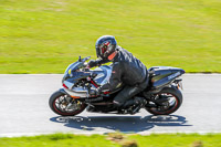 Lower Group Silver/Grey Bikes