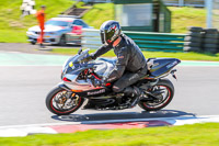 Lower Group Silver/Grey Bikes