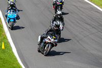 Lower Group Silver/Grey Bikes