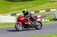 Middle Group Red Bikes