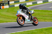 cadwell-no-limits-trackday;cadwell-park;cadwell-park-photographs;cadwell-trackday-photographs;enduro-digital-images;event-digital-images;eventdigitalimages;no-limits-trackdays;peter-wileman-photography;racing-digital-images;trackday-digital-images;trackday-photos