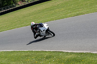 Lower Group White Bikes