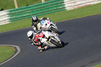 Advanced Group White Bikes