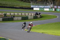 Lower Group Silver/Grey Bikes