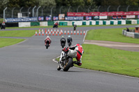 Advanced Group White Bikes