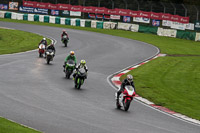 Lower Group Multicolour Bikes