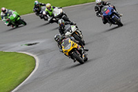 Lower Group Yellow Bikes