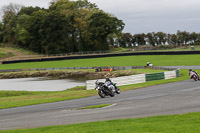 Middle Group Silver/Grey Bikes