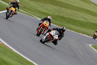 brands-hatch-photographs;brands-no-limits-trackday;cadwell-trackday-photographs;enduro-digital-images;event-digital-images;eventdigitalimages;no-limits-trackdays;peter-wileman-photography;racing-digital-images;trackday-digital-images;trackday-photos