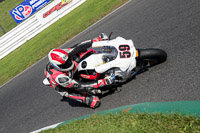 enduro-digital-images;event-digital-images;eventdigitalimages;mallory-park;mallory-park-photographs;mallory-park-trackday;mallory-park-trackday-photographs;no-limits-trackdays;peter-wileman-photography;racing-digital-images;trackday-digital-images;trackday-photos