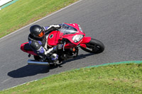 Lower Group Red Bikes