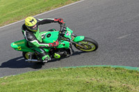 Middle  Group Green Bikes