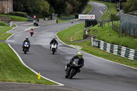 Middle Group Black Bikes