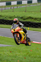Advanced Group Orange Bikes