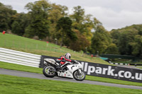 Advanced Group White Bikes