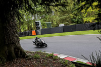 Lower Group Black Bikes