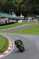Lower Group Green Bikes