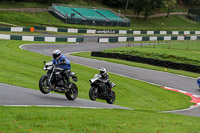 Lower Group Silver/Grey Bikes