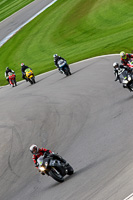 Lower Group Silver/Grey Bikes