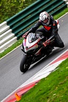 cadwell-no-limits-trackday;cadwell-park;cadwell-park-photographs;cadwell-trackday-photographs;enduro-digital-images;event-digital-images;eventdigitalimages;no-limits-trackdays;peter-wileman-photography;racing-digital-images;trackday-digital-images;trackday-photos