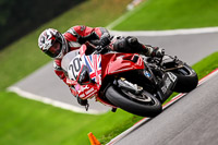 Advanced Group Red Bikes