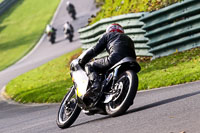 cadwell-no-limits-trackday;cadwell-park;cadwell-park-photographs;cadwell-trackday-photographs;enduro-digital-images;event-digital-images;eventdigitalimages;no-limits-trackdays;peter-wileman-photography;racing-digital-images;trackday-digital-images;trackday-photos