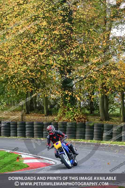 cadwell no limits trackday;cadwell park;cadwell park photographs;cadwell trackday photographs;enduro digital images;event digital images;eventdigitalimages;no limits trackdays;peter wileman photography;racing digital images;trackday digital images;trackday photos