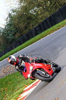 Lower Group Red Bikes