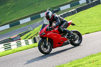 Lower Group Red Bikes