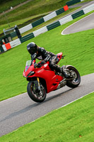 Lower Group Red Bikes