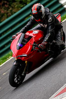 Lower Group Red Bikes