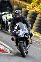Lower Group Silver/Grey Bikes