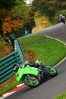 Middle  Group Green Bikes