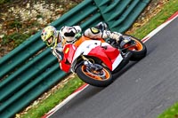 cadwell-no-limits-trackday;cadwell-park;cadwell-park-photographs;cadwell-trackday-photographs;enduro-digital-images;event-digital-images;eventdigitalimages;no-limits-trackdays;peter-wileman-photography;racing-digital-images;trackday-digital-images;trackday-photos