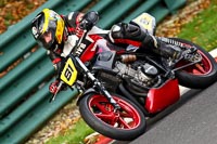 cadwell-no-limits-trackday;cadwell-park;cadwell-park-photographs;cadwell-trackday-photographs;enduro-digital-images;event-digital-images;eventdigitalimages;no-limits-trackdays;peter-wileman-photography;racing-digital-images;trackday-digital-images;trackday-photos