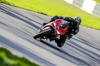 Advanced Group Red Bikes