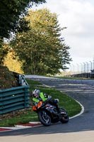 Lower Group Black Bikes