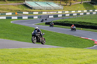 Lower Group Black Bikes