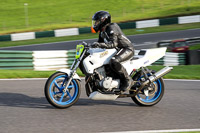 Lower Group White Bikes