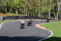 Middle Group Silver/Grey Bikes